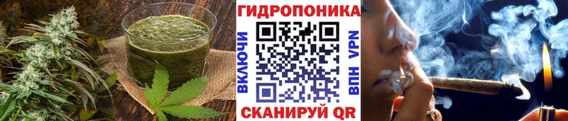 Canna-Cookies конопля  Купить закладки  Когалым 