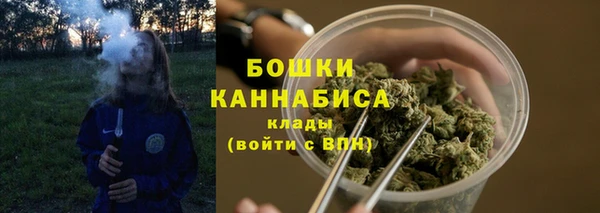 трава Горно-Алтайск