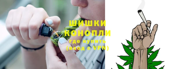 трава Горно-Алтайск