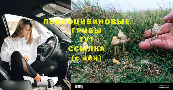 трава Горно-Алтайск