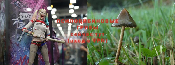 ALPHA PVP Горняк